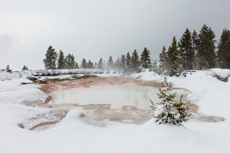 35 Yellowstone NP.jpg